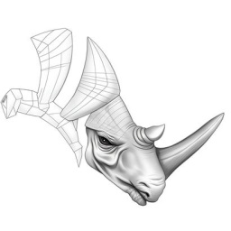 Rhinoceros Rhinoceros 3D